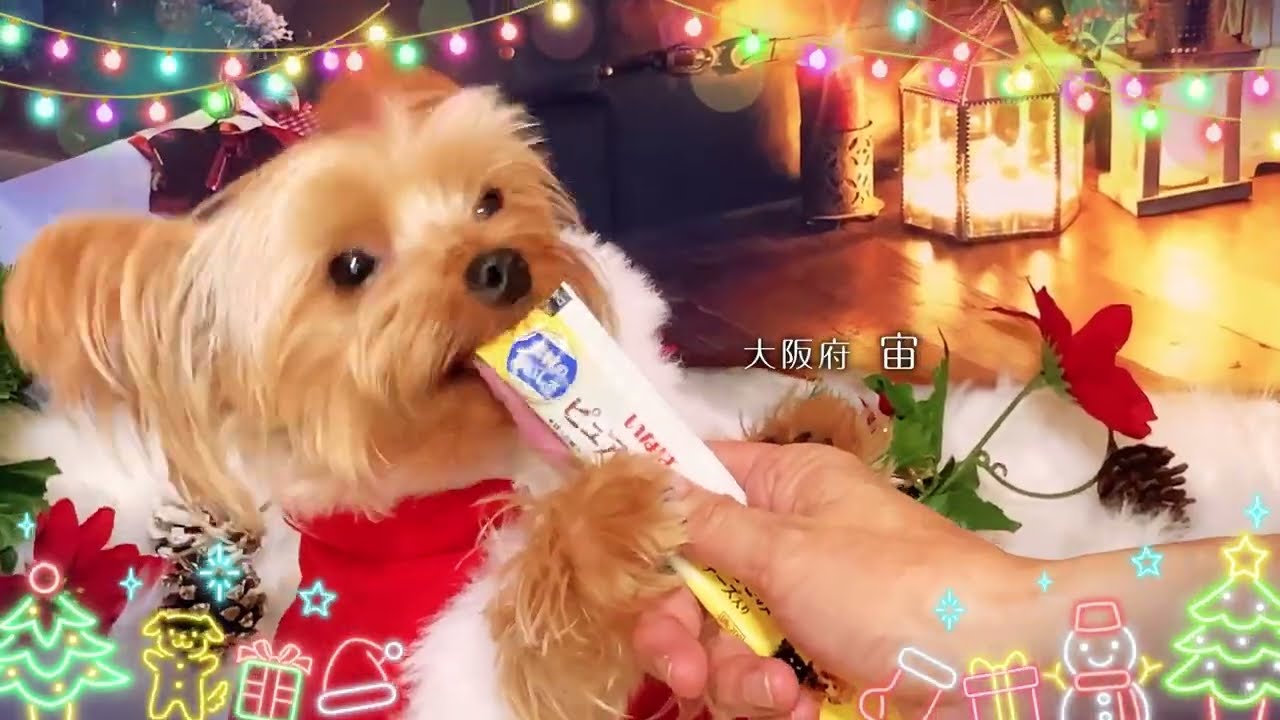 Wan Chu-ru 2025 Christmas Edition Part 1 (Inaba Food Group) - YouTube