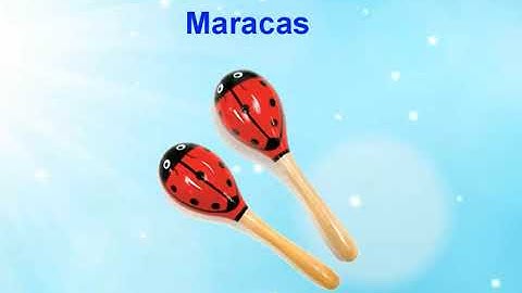 Maracas (Giới thiệu nhạc cụ)