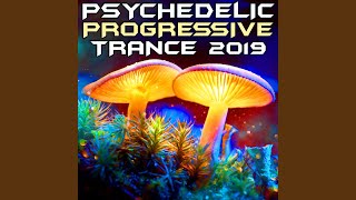 Uprog (Psychedelic Progressive Trance 2019 DJ Mixed)