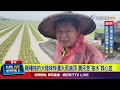 農業損失與補助