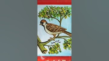 sparrow Bird#draw sketch and colouring #viral# Short video #🙏🙏🎨🖌️