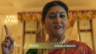 Paaru coming soon on 29 September
