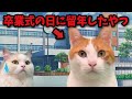 卒業式の日に留年するやつ【コント】 【猫アニメ】