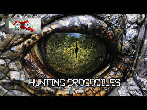 hunting-crocodiles---background/action---royalty-free-music