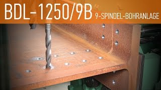 BDL-1250/9B - 9-Spindel-Borhanlage