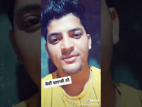 Donkey And Married Man