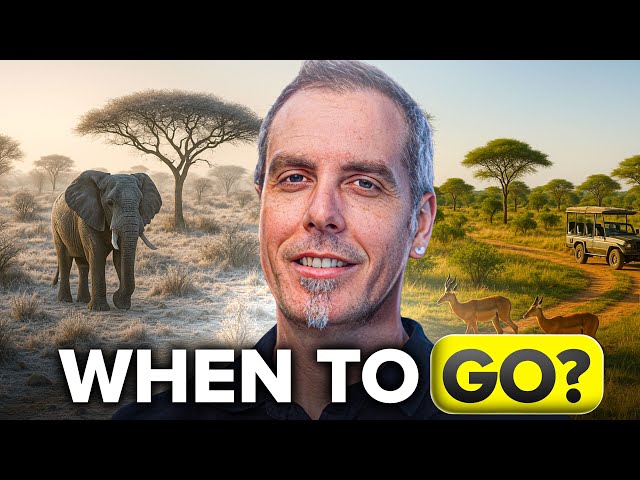When to Go on Safari: Best Seasons & Migration Guide (2026)