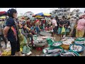 Morning Fish Market Scene at Chhbar Ampov Bridge - Amazing Site Selling Fish & SeaFood @Chhbar Ampov