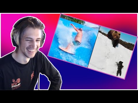 xQc Reacts To Ozzy Man Reviews: MEGA COMPLATION #8 || Chat