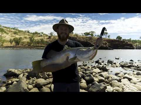 HELICOPTER FISHING FOR BARRAMUNDI | Bondi Harvest Journeys Western Australia