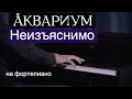 Аквариум - Неизъяснимо | Кавер на фортепиано | Евгений Алексеев, концерт в Екатеринбурге | БГ
