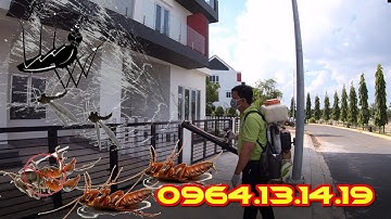 DIỆT CÔN TRÙNG TPHCM | DỊCH VỤ DIỆT CÔN TRÙNG TPHCM | DIỆT CÔN TRÙNG