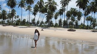 BRAZILIAN PARADISE, BEACHES, PLACES, ROAD TRIP - TRAVEL VLOG