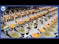 Modern And Cool Food Manufacturing Processes You Must See