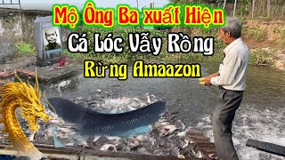 Chuyện Lạ 👉 Mộ ông Bà Xuất hiện - Cá lóc vẫy rồng ( Rừng Amazon cùng 100 tấn Cá | Châu Phú Area 51