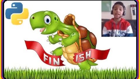 Turtle race Python Game