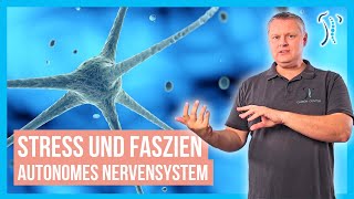 Die Faszien und der Stress - Wie das Autonome Nervensystem unser Leben beeinflusst