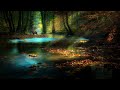 Relaxing Zen Music with Water Sounds • Peaceful Ambience for Spa, Yoga and Relaxation 2