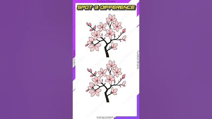 Spot the difference hard level | Find 3 differences No. 95 | #shorts  #ytshorts #findthedifference