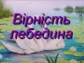 Вірність лебедина