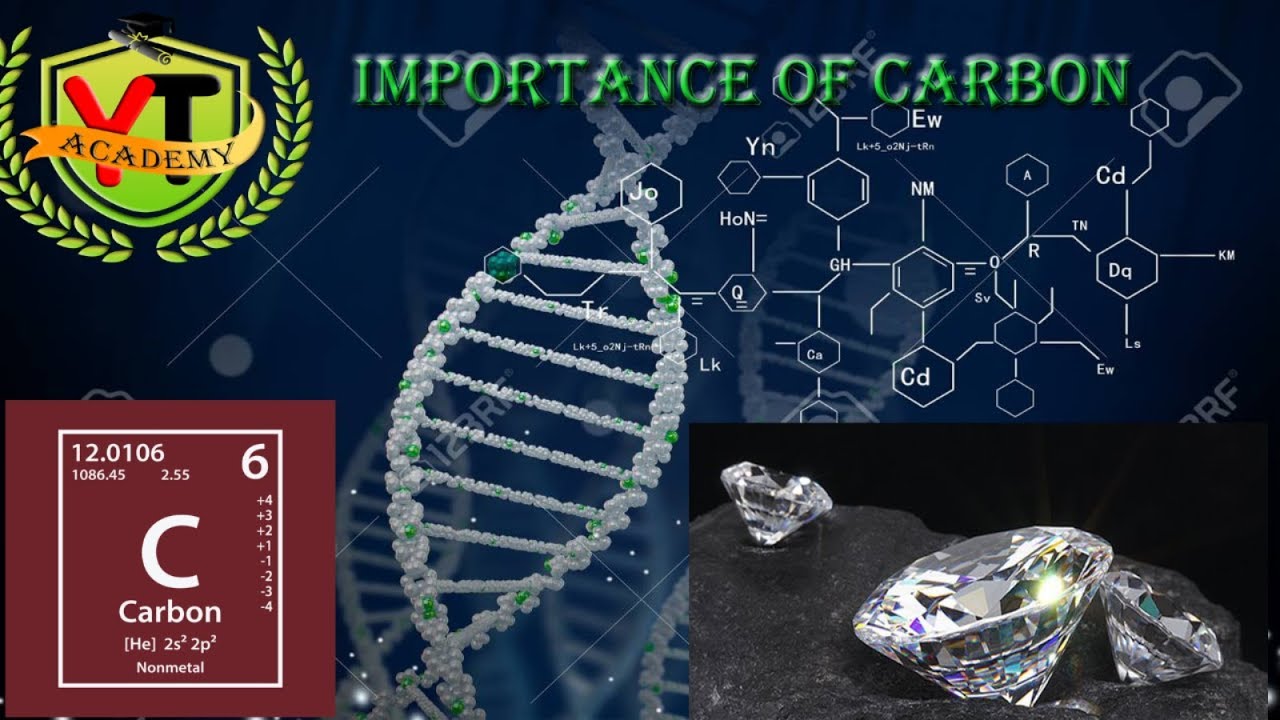 Importance of Carbon Biochemistry Lecture in Urdu Hindi YT Academy