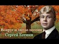 Вокруг и около поэзии / Сергей Есенин