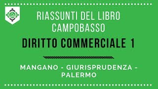 Riassunti del libro Campobasso Diritto commerciale I Prof. Mangano  Giurisprudenza Palermo 