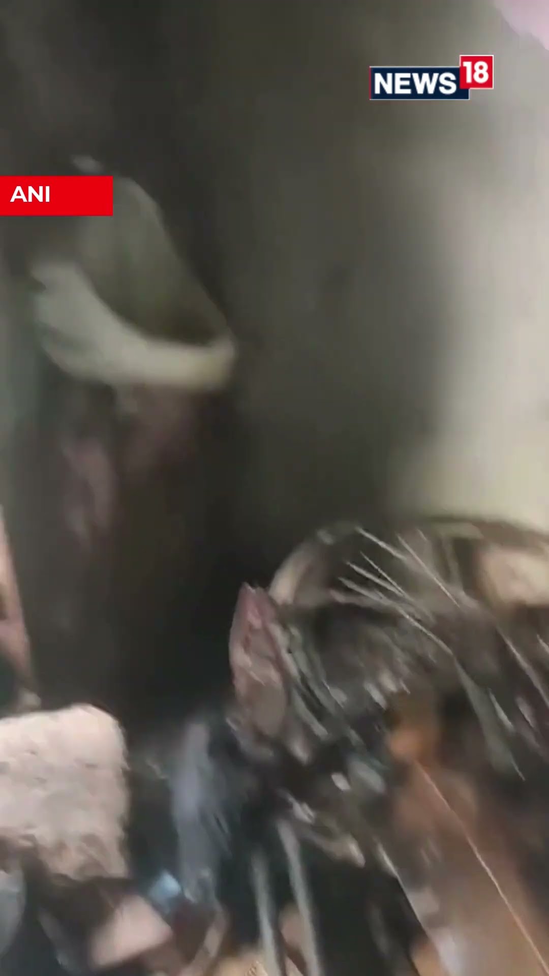 Delhi: A Fire Broke Out In A Heater Factory At Jagdamba Colony Of Johri Pur | N18S #shorts #viral