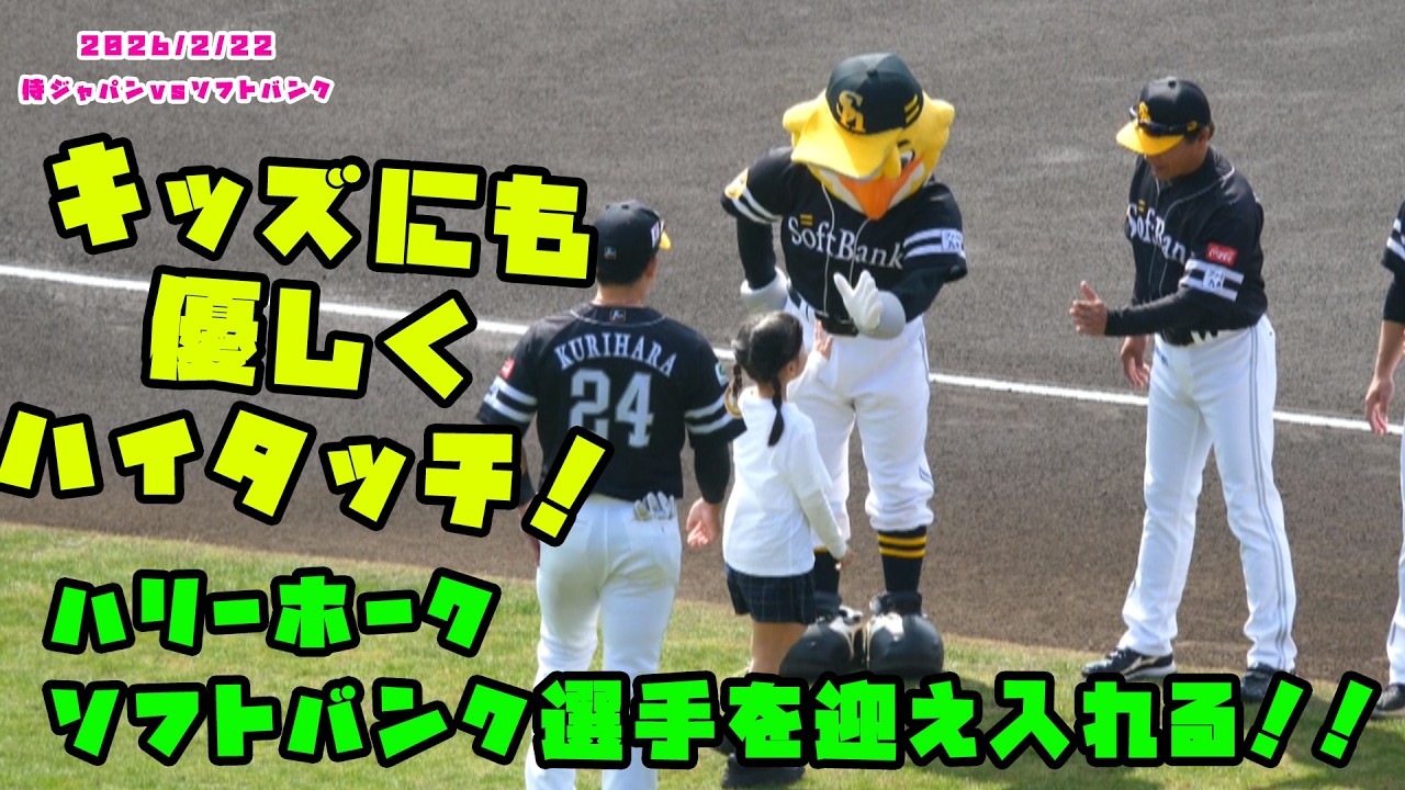 Harry Hawk welcomes SoftBank players! 2026/2/22 Samurai Japan vs