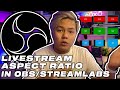 OBS Studio | Livestream Aspect Ratio | Different Resolution | Video Style