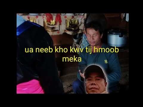 Video: Mackerel Pob Ntseg Nrog Tshuaj Ntsuab