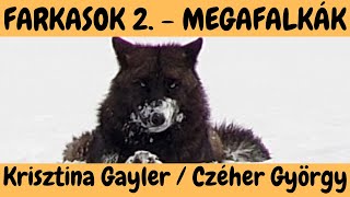FARKASOK 2. rész  A Megafalkák!  DogCast TV