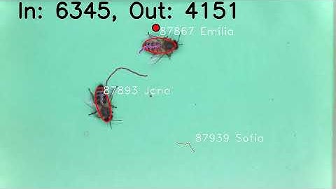 BeeAlarmed - Bee Hive Monitoring (Open Source) - Detects Varroa mites, Pollen packets and more