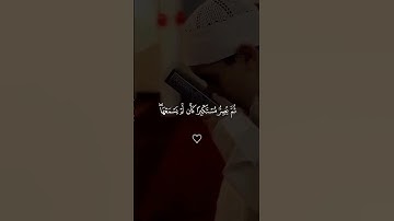 قرآن كريم بصوت القارئ ياسر الدوسري تلاوة هادئة ومريحة 😴🤎 قران كريم بصوت جميل جدا #اكسبلور#duet #لايك