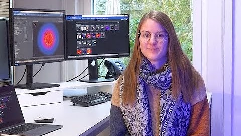 Unleash your potential with S4L lite: The ultimate tool for complex simulations for students