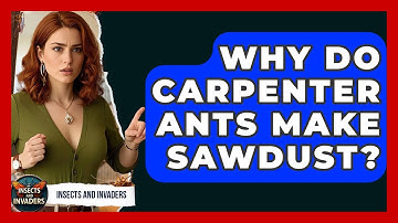 Why Do Carpenter Ants Make Sawdust? - Insects and Invaders