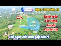 Chủ gồng hết nổi bán mảnh vườn để dành dưỡng già ngay dân cư đủ loại cây ăn trái giá bèo quá ạ.