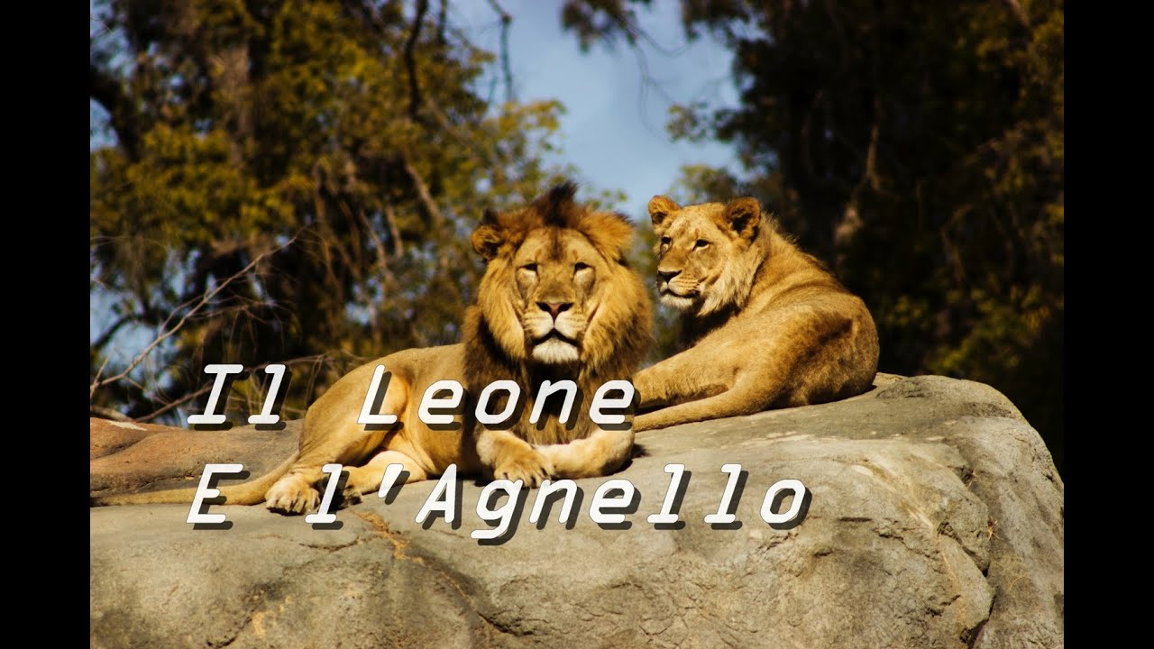 Il Leone E Il Lupo Al Cinema