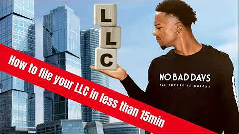 How to file your LLC in less then 15 minutes #llc ...