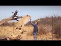 Эфир с Алексеем Тихоновым! Автором канала living_with_lions