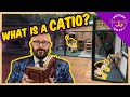 What is a Catio? | Cat Daddy Dictionary