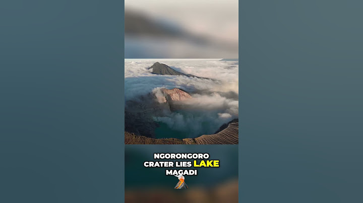 Ngorongoro's Lake Magadi: Flamingo Paradise in Tanzania