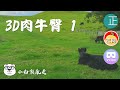 20210424 4K VR180 3D 肉牛臀 1 Te Taurere Cattle Farm