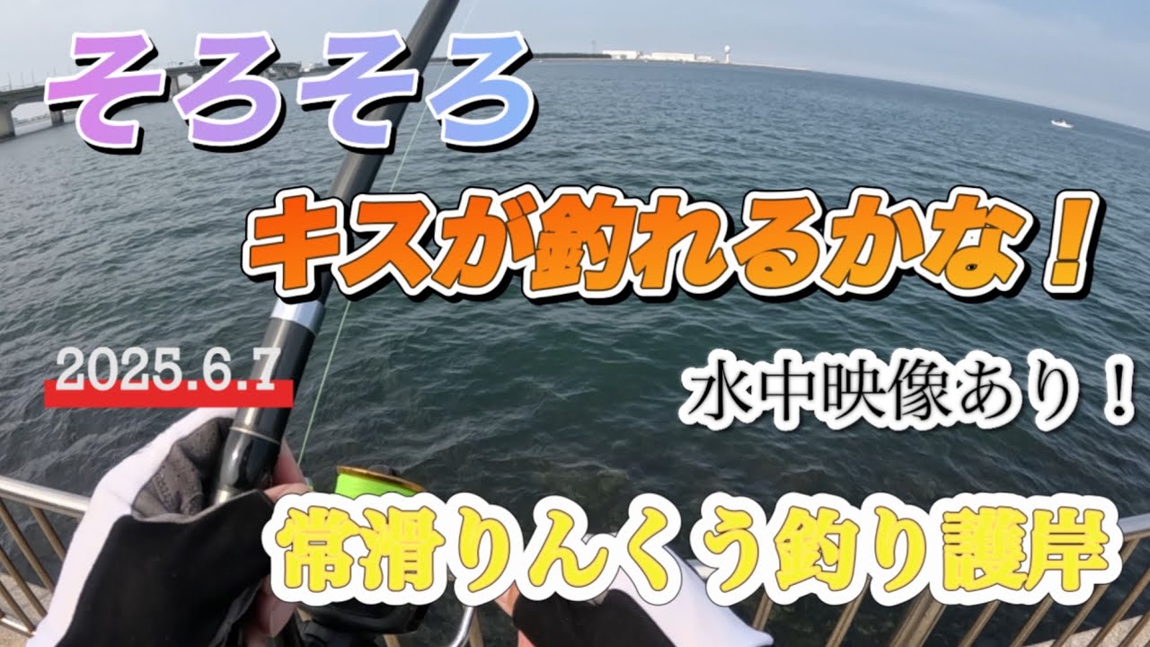 【常滑りんくう釣り護岸】そろそろキスが釣れるかな！水中映像あり！