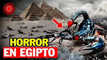 ¿Hay muchas serpientes en Egipto?