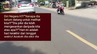Strategi dan Konfrontasi di Aliansi Seni Bela Diri | 3801-3805 | Harvey York