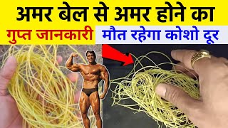 अमरबेल से अमर होने का गुप्त जानकारी ! मौत को जीत लोगे, अमर हो जाओगे//