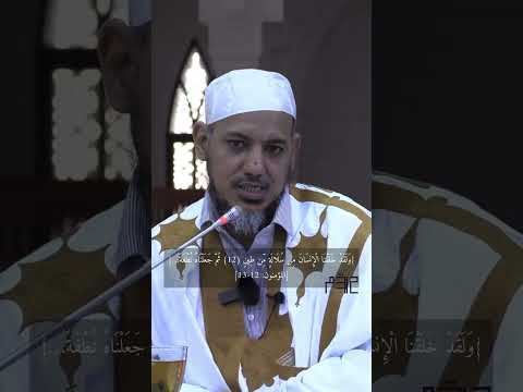 من أساليب البديع الاستخدام محمد محمود الشنقيطي