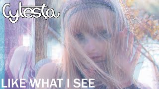 Like What I See (VIP Mix)