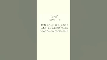 القرآن الكريم سورة الفيل #علاء_عقل #قران_كريم #اكسبلور